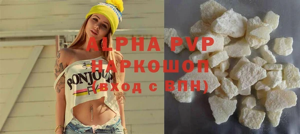мдпв Гусев