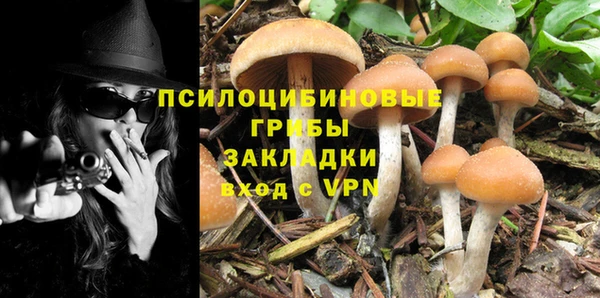 прущие грибы Болхов