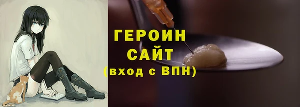 мдпв Гусев