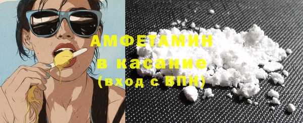 индика Гусь-Хрустальный