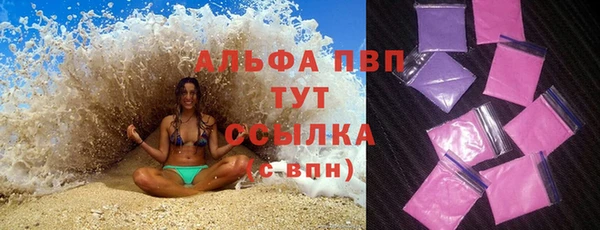 индика Гусь-Хрустальный