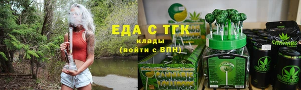 индика Гусь-Хрустальный
