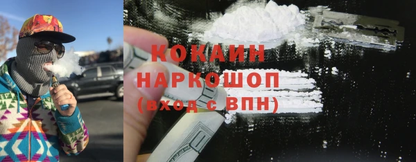 ПСИЛОЦИБИНОВЫЕ ГРИБЫ Рославль