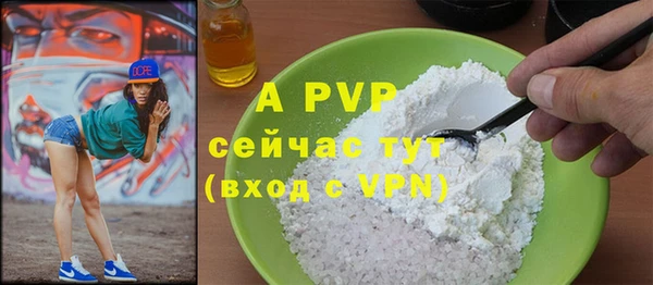 сатива Дмитриев